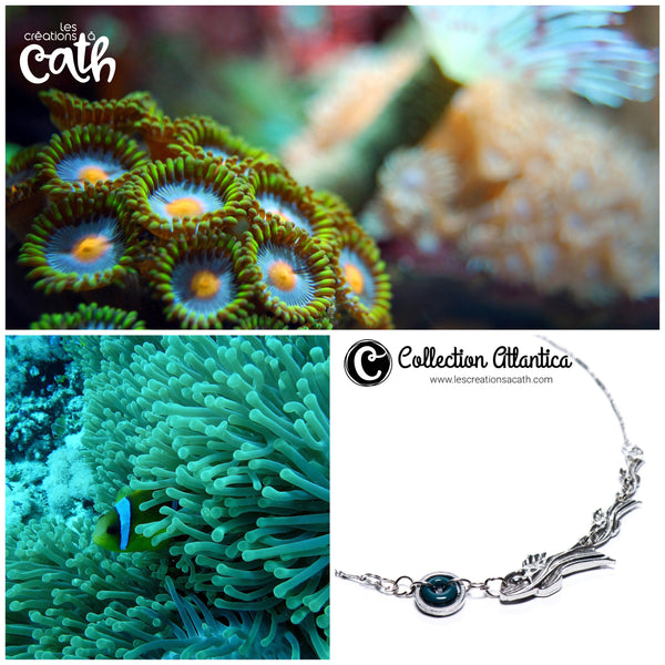 Collection Atlantica
