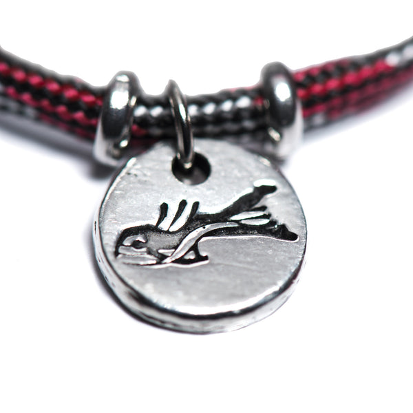 55-L'Ambystoma Tigrium (part 2)