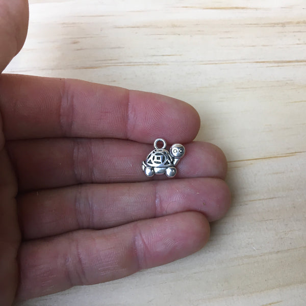 Charm ( turtle )