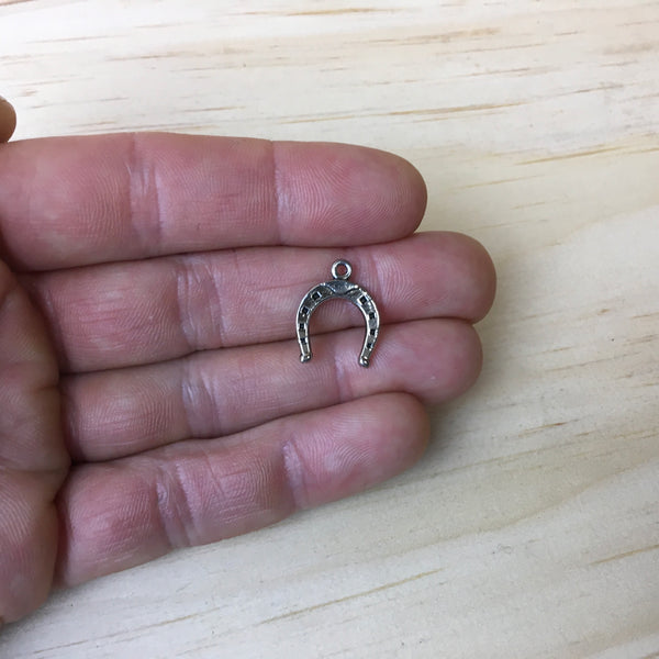 Charm ( horseshoe )