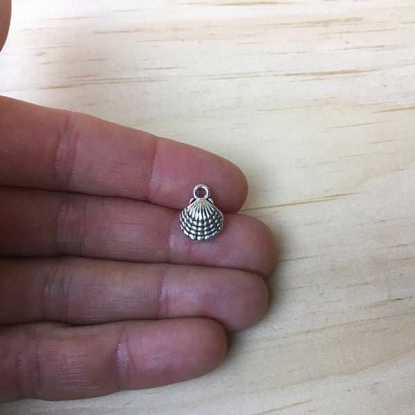 Charm ( shell )